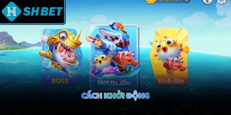 Hệ thống phòng cược phân định theo hạn mức tài chính linh hoạt thành viên