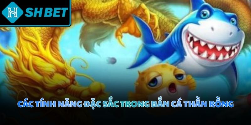 Giao diện phòng đấu hiển thị các mức giới hạn cược phong phú cho người chơi