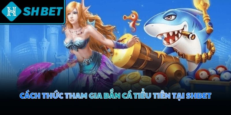 Cơ chế đăng ký đặt cược được tối giản giúp người chơi dễ dàng thao tác