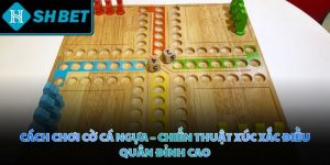 Cách chơi cờ cá ngựa - Chiến thuật xúc xắc điều quân đỉnh cao