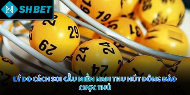 Hoạt động nghiên cứu số học mang lại những lợi ích vượt trội cho người chơi