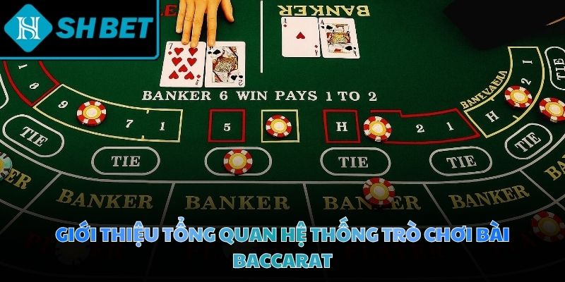 Chiến thuật chơi Baccarat mang đến trải nghiệm giải trí vô cùng chân thực