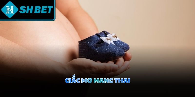Giải mã giấc mơ mang thai mang nhiều ý nghĩa đa dạng cho mỗi cá nhân