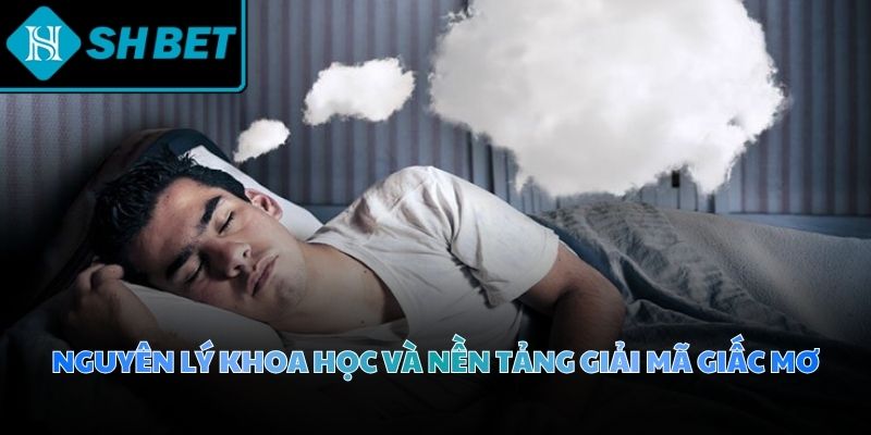 Giải mã giấc mơ mở ra cánh cửa thấu hiểu những ham muốn vô thức