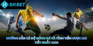 Hướng dẫn cá độ bóng đá và tính tiền cược chi tiết nhất 2026