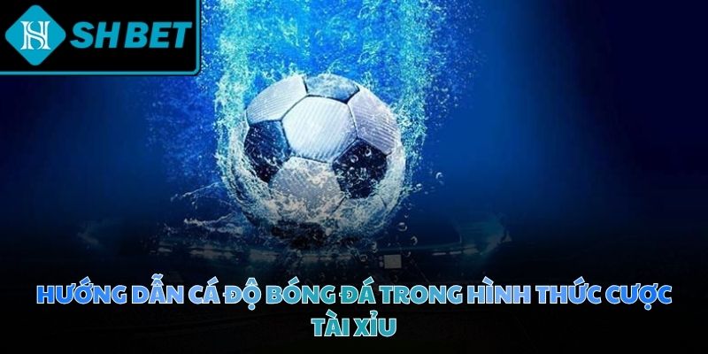 Hướng dẫn cá độ bóng đá tài xỉu mang đến những trải nghiệm hồi hộp