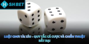 Luật chơi tài xỉu - Quy tắc cá cược và chiến thuật bất bại