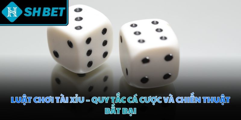Luật chơi tài xỉu - Quy tắc cá cược và chiến thuật bất bại