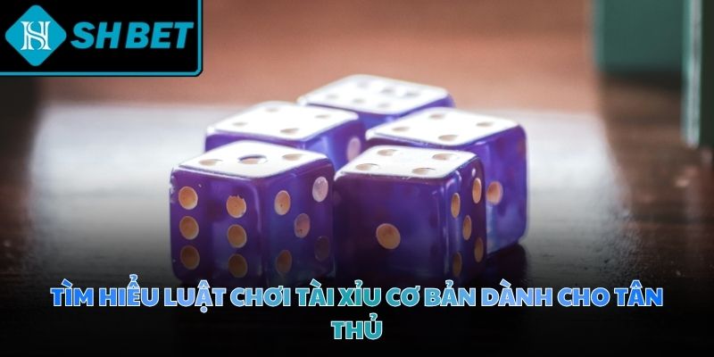 Luật chơi tài xỉu tự động vận hành công bằng trong phòng cược trực tuyến
