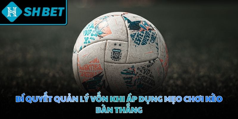 Phân bổ tài chính khoa học giúp người chơi duy trì sự bền bỉ trong cuộc đua
