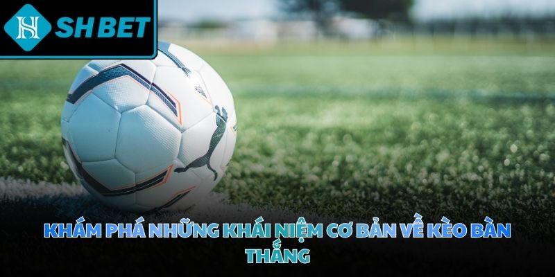 Chuyên gia lão luyện dành nhiều thời gian để nghiên cứu phong độ thi đấu