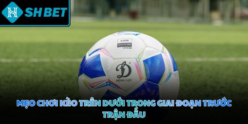 Chuẩn bị kỹ lưỡng về mặt dữ liệu tạo nên nền móng vững chắc cho chiến thắng