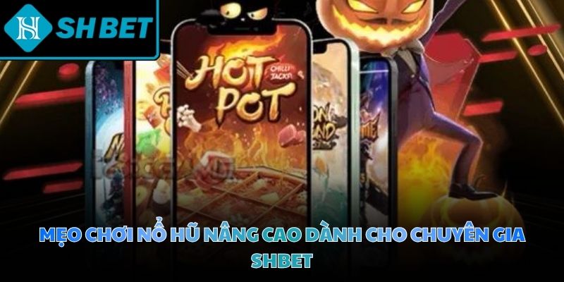 Chiến thuật chuyên sâu giúp cược thủ nâng tầm tư duy và tối ưu hóa lợi nhuận