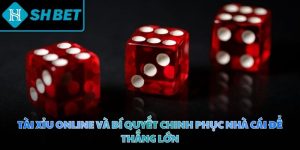 Tài Xỉu online và bí quyết chinh phục nhà cái để thắng lớn